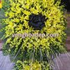 Lẵng hoa tang lễ lan vàng